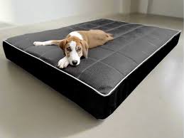 Legowisko dla psa ortopedyczne